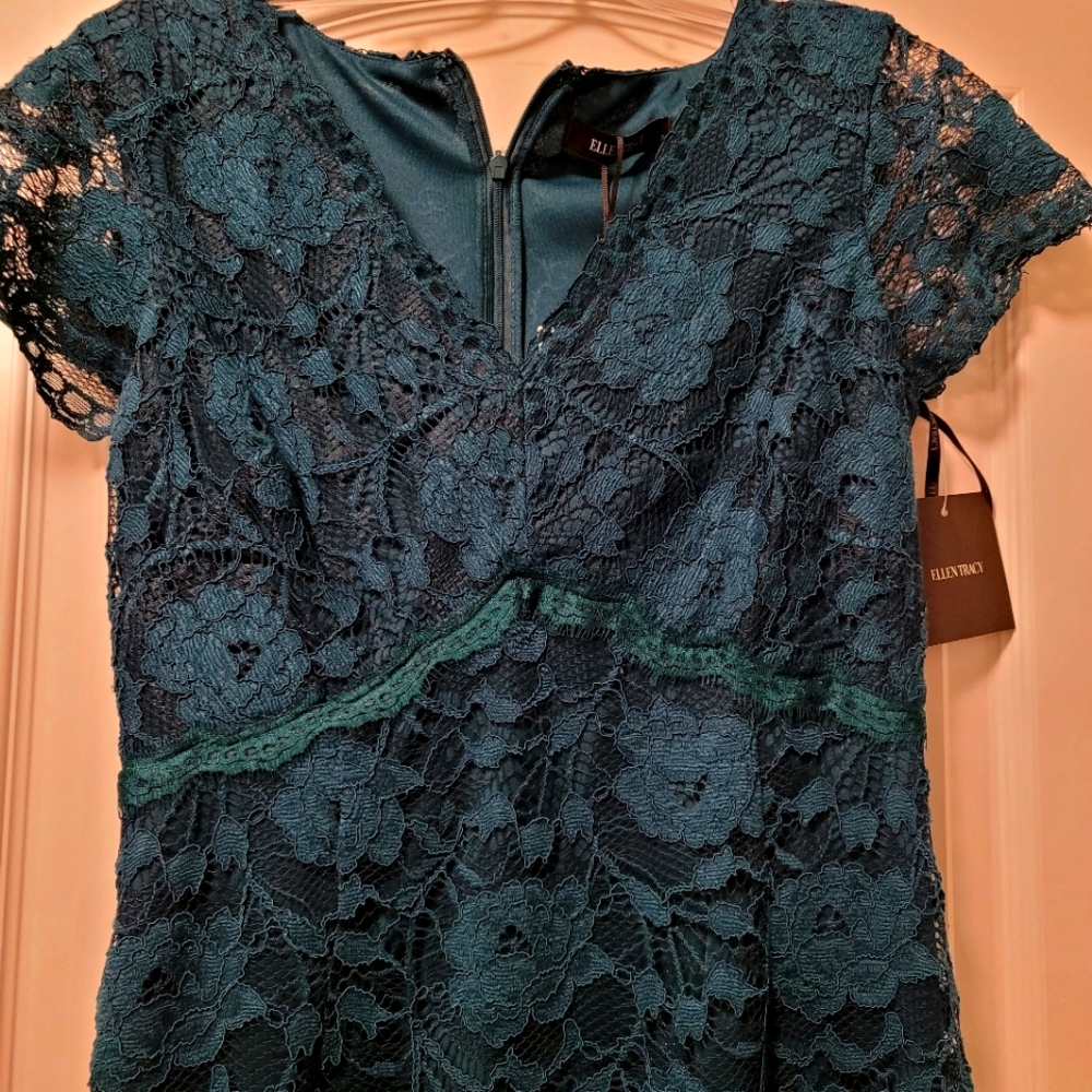 Ellen Tracy gown from Melanie Lynne